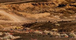 村上宗隆再度领跑全垒打榜