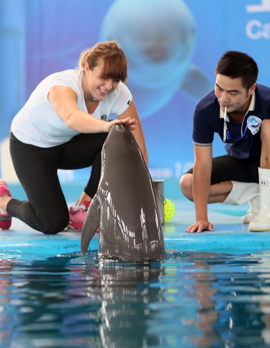 做出谨慎决 做出谨慎决