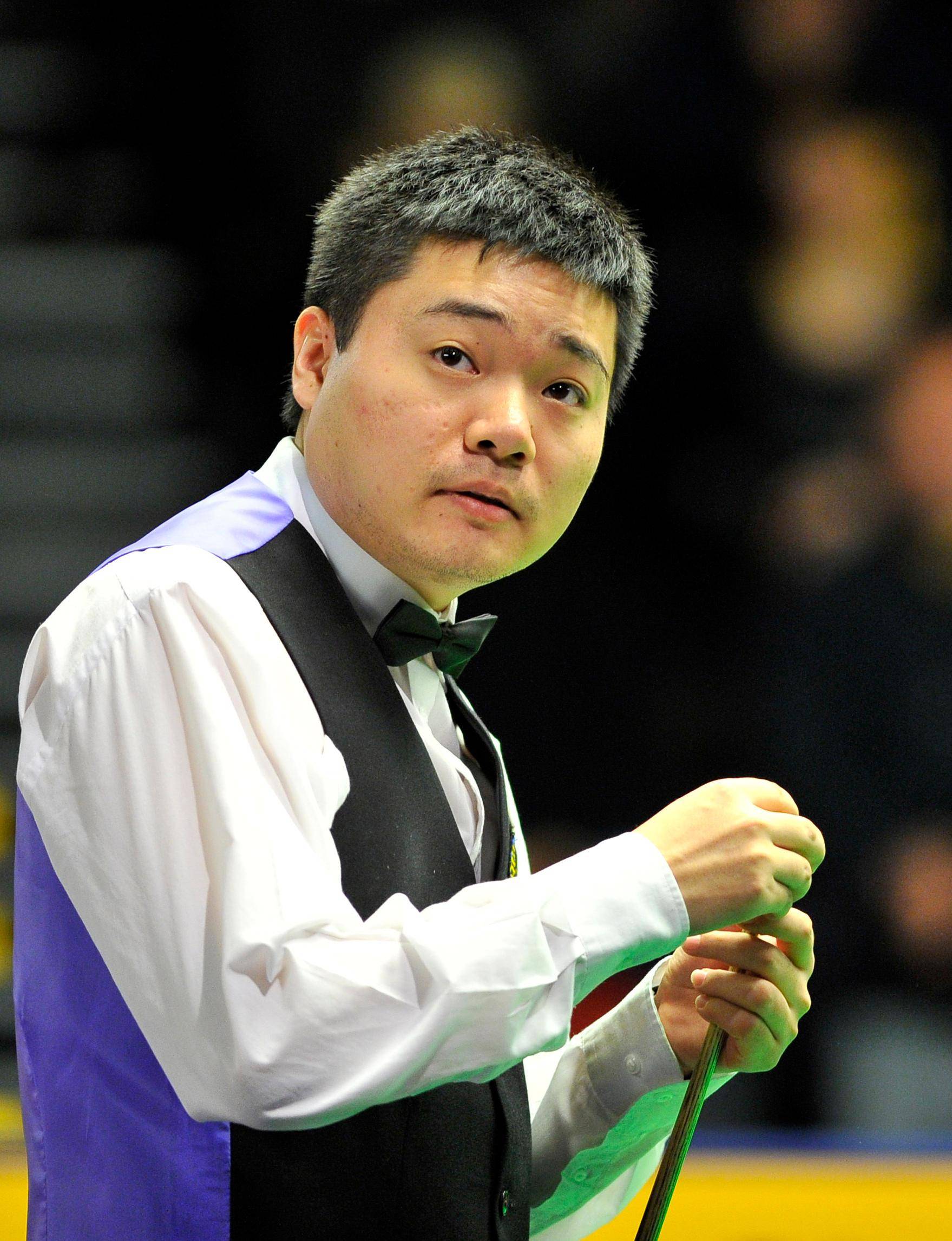 动不局限于 动不局限于